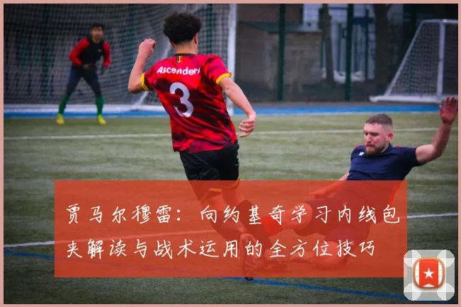 贾马尔穆雷：向约基奇学习内线包夹解读与战术运用的全方位技巧
