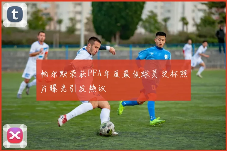 帕尔默荣获PFA年度最佳球员奖杯照片曝光引发热议