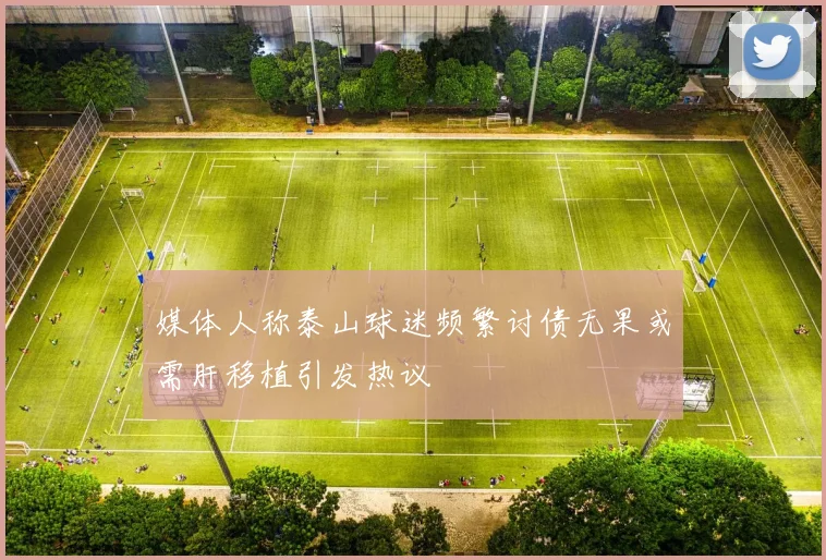 媒体人称泰山球迷频繁讨债无果或需肝移植引发热议