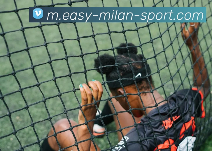 米兰体育平台生态图